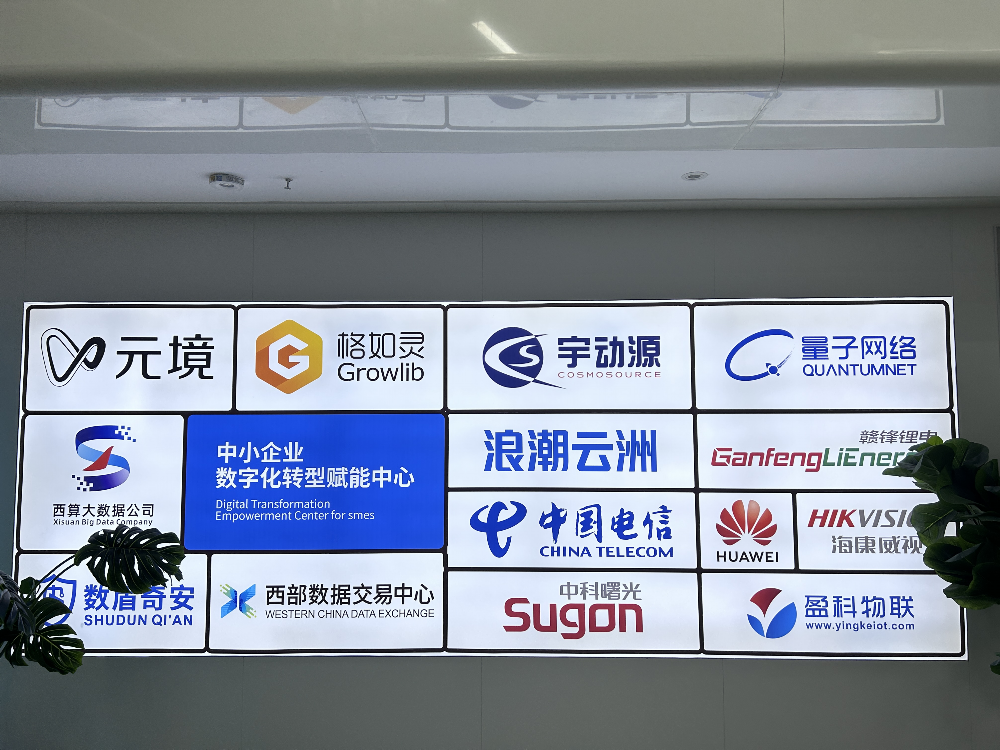 图片3